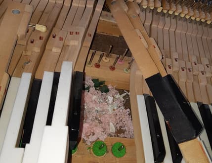 תמונה 3 עבור Alfredo Gonzalez Pianos & Guitars
