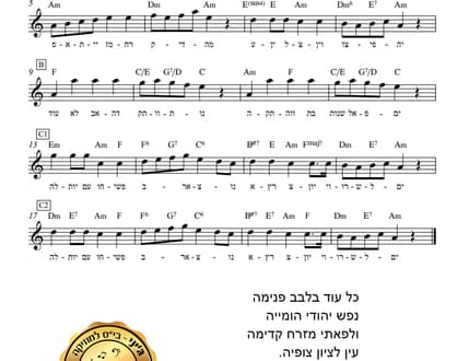 Image 3 for ג'יני - בית ספר למוזיקה - מורים לפי משאלתך