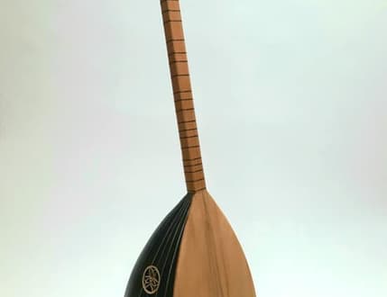 Image 4 for צ'יטורי המרכז לכלי נגינה אתניים