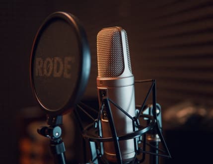 Image 2 for The Pro Voice Over