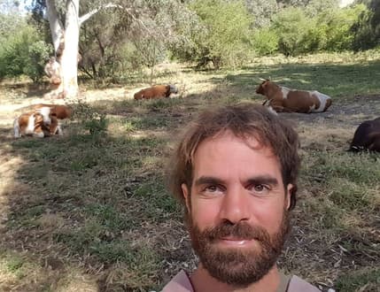 תמונה 1 עבור Omer Bar
