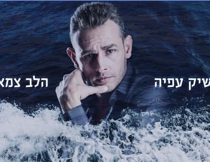 Image 3 for אלונזו